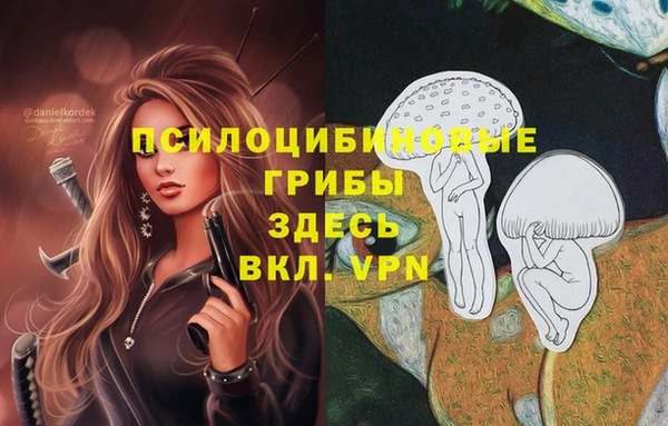 хмурый Алексеевка