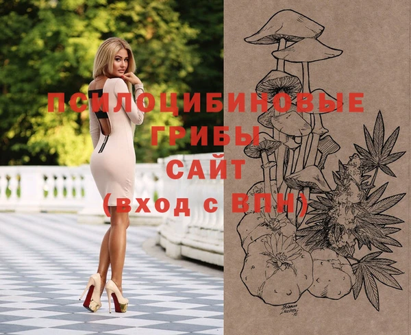 хмурый Алексеевка