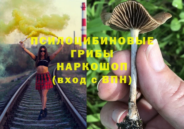 хмурый Алексеевка