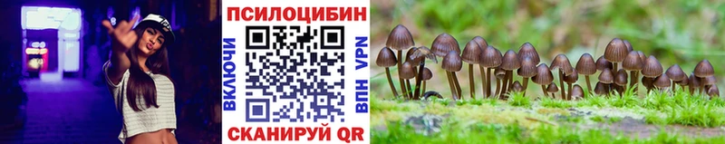 хочу наркоту  ссылка на мегу ссылки  Псилоцибиновые грибы мухоморы  Закаменск 